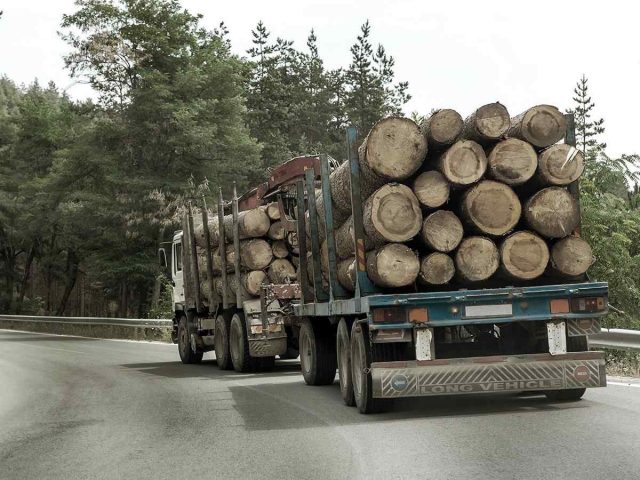 https://www.nervegna.eu/wp-content/uploads/2017/08/inner_big_trucks_01-640x480.jpg